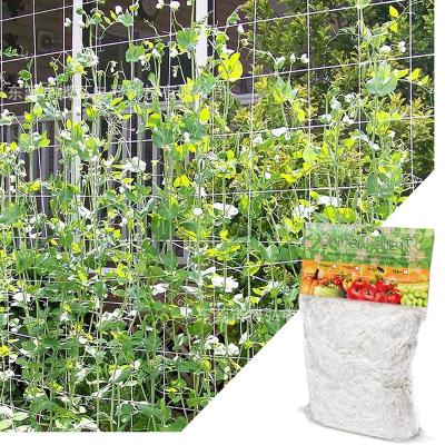 China High Strength Plastic Agro Morning Glory Flower Vine Net Support Shade Cloth Garden Plants Net Shade Making for sale