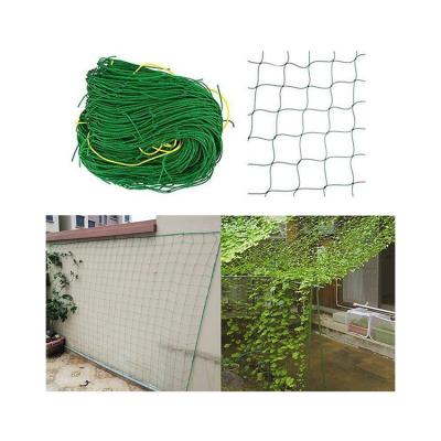 China Special Planting Net Climbing Cucumber Plant Supply High Strength Vine Passiflora Net Edible Bitter Gourd Net Planting Net for sale