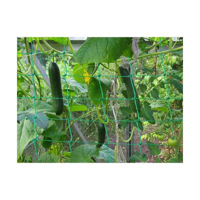 China Edible Passion Flower Net Bitter Gourd Passion Flower High Strength Planting Net Cucumber Special Planting Net For Sale for sale