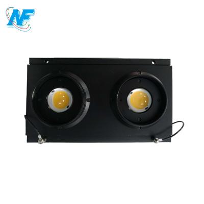 China Stage Lock 2 Quick Eyes 300w Waterproof IP65 Led Blinder Audience Light For Outdoor Event Stage for sale