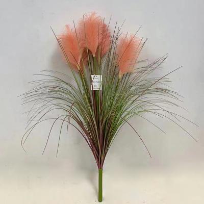 China Natural Touch Ready To Ship Long Stems Artificial Pampas Grass For Wedding Party Home Decor for sale