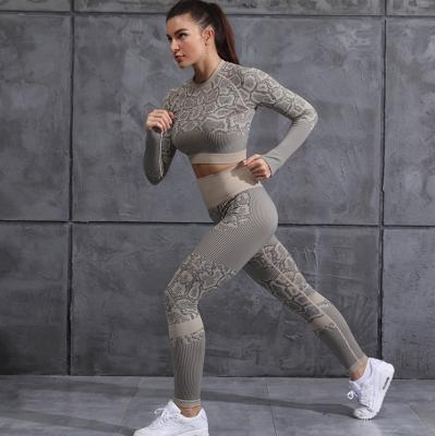 China Breathable Tight-Fitting Sports Women's Yoga Body Seamless Knitted Elastic Sweat-absorbing Diet Suit RTS for sale