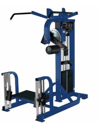 China Universal Strength Featured Hip And Glute Trainer Exercise Equipment For Bodybuilding for sale