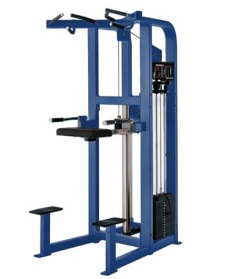 China Universal Leg Raise Sports Strength Equipment Gym Dip Chin Aid Pull Up Station for sale