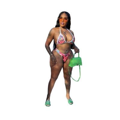 China Low Price Anti-pilling Sexy Women's Bikini Women's Swimwear Sexy Transparent Bikini Set For Women for sale