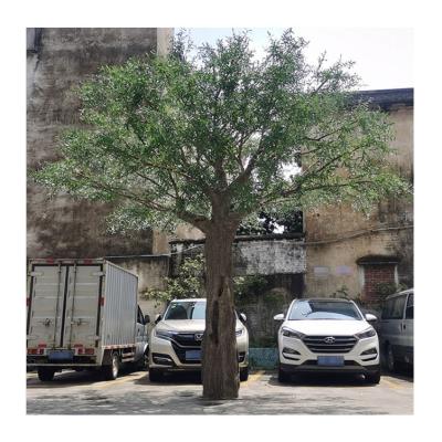 China Large Eco-Friendly Artificial Natural Decorative Artificial Olive Trees for sale