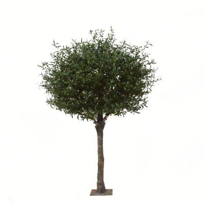 China Plant Decoration Eco - Friendly Indoor Wooden Artificial Plastic Potted Branch Artificial Olive Tree for sale