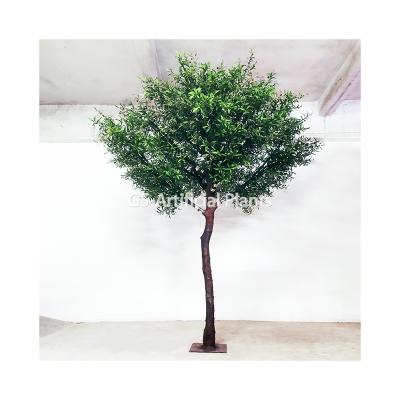 China New CLASSIC hot sale design home and garden artificial olive tree green leaves branches indoor decoration artificial olive tree for sale for sale