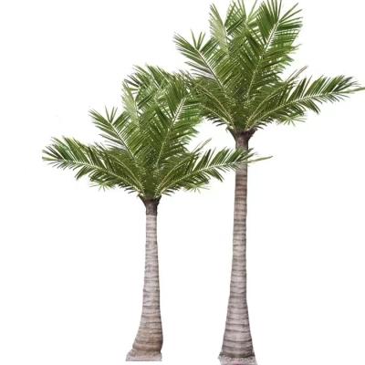 China Outdoor Eco - Friendly Artificial Palm Tree Fiberglass Customized Decoration Artificial Palm Tree for sale