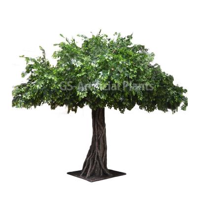 China CLASSIC Green Artificial Indoor Microcarpa Banyan Tree Plants Large Ficus Trees Large Trees For Outdoor for sale