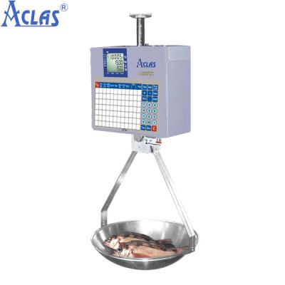 China Hanging Barcode Label Scale,Hanging Scale,Supermarket Scale for sale