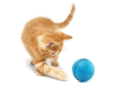 China Professionelle batteriebetriebene Katze spielt Schoßhund-Spielzeug-Ball LED blinkenden zu verkaufen