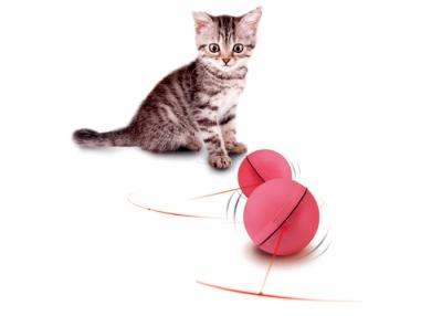 China El gato interactivo rojo de 2,5 pulgadas juega el bromista, bola animosa del gato automático plástico en venta