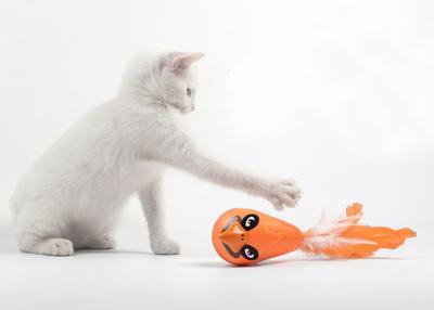 China Juguete vibrante del gato del giro excéntrico del vaso del uno mismo verde/anaranjado/púrpura/azul con la pluma en venta