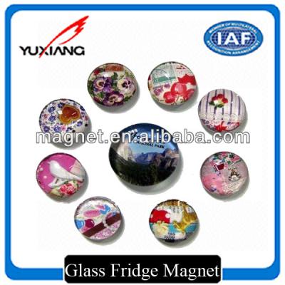 China Latest Customerized Glass Fridge Magnet Beautiful Glass Fridge Magnet for sale