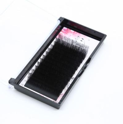 China Long Private Label Natural Individual Eyelash Extension Neon Colored False Mink Eyelash Wholesale Private Label for sale