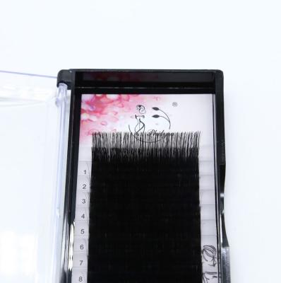 China Long natural high quality j because dual density l LC LD m de c cc d curves individual professional silk eyelash extension for sale