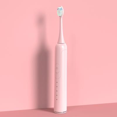 China Whitening Shenzhen Yu beilun beilun dupont bristle electric toothbrush kang electric toothbrush 18650 battery teeth clean your teeth X3 for sale