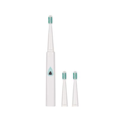 China Whitening Teeth Electric Toothbrush Friendly Replacement Directs 23000 Vibrating Frequencies Dupont Stiffen Dongguan Electric Toothbrush 005 for sale