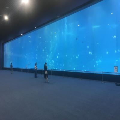 China Viable Material Acrylic Acrylic Tanks Public Aquarium for sale