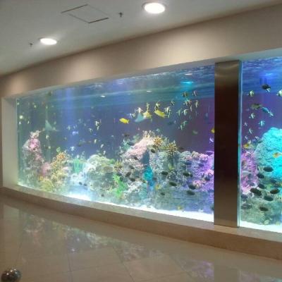 China Acrylic Bottom Water Aquarium Window Panel Acrylic Fish Tank for sale