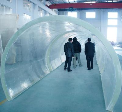 China Large Viable Customized Transparent Acrylic Aquarium Tunnel Project for sale