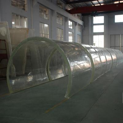 China Sustainable Oceanarium Acrylic Tunnel Project Price for sale