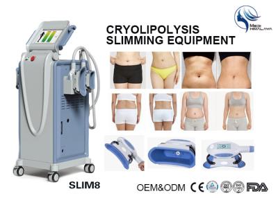 Cina Macchina di congelamento grassa di Cryolipolysis dei pezzi della mano del professionista 4 per rimozione del doppio mento in vendita