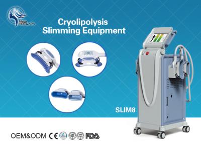 Cina Macchina grassa di riduzione della gelata innovatrice di Cryolipolysis con crioterapia del lavoro di 4 maniglie con la pompa di U.S.A. in vendita