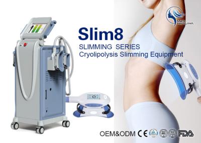 China 4 Handpieces Cryolipolysis Fat Freeze Slimming Machine For Double Chin Removal for sale