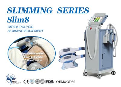 China Fette Gefriehrmaschine Cryolipolysis für Körper-Formung/Fettabbau CER FDA-Zustimmung zu verkaufen