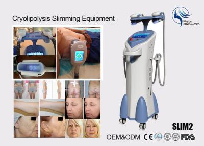 China Cryolipolysis Slim Freeze Fat Freeze Slimming Machine , Fat Reduction Equipment for sale