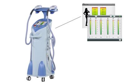 China Máquina do emagrecimento do vácuo do corpo da aprovação do TUV para a perda de peso de Cryolipolysis à venda