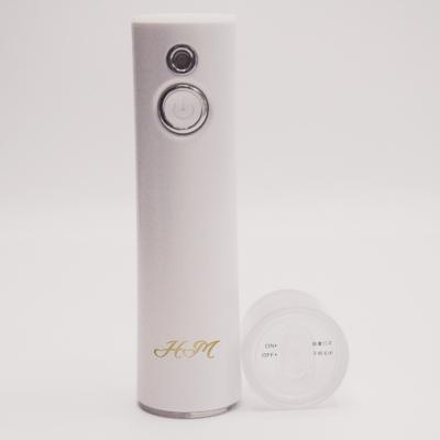 China 2022 Portable Nano Mist Sprayer Facial Moisturizer Beauty Skin Care Sprayer Hydrate Spray for sale