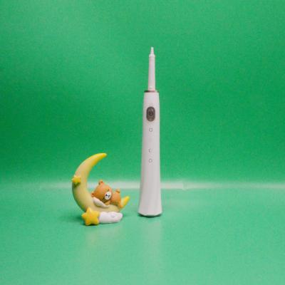 China Deep Cleaning Wholesale Customized Sonic Electric Toothbrush Oral Care Professional Cleaning Device for sale