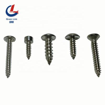 China Pan Stainless Steel Self Tapping Screws All Kind Of Main Tapping Screw SS Tapping Screw for sale