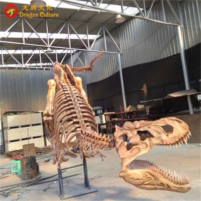 China Outdoor& cheap indoor fake dinosaur tyrannosaur park dinosaur skeleton Rex Skeleton Specimen double fossil for sale