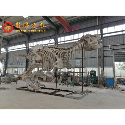 China Fossil Model Fiberglass Dinosaur Life Size Skeleton Replicas For Sale T-rex Triceratops Stegosaurus for sale