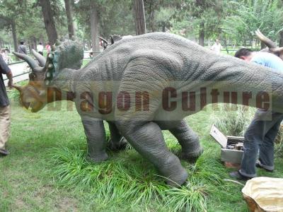 China Life Size Steel Frame Fiberglass Rubber And Silicon Animals And Dinosaur For Sale Elephant, Lion, Tiger, Shark Etc. for sale