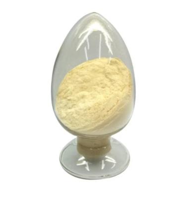 China ISO Certified Factory Sophora Japonica Extract 98% Quercetin Powder Cas 6151-25-3 for sale