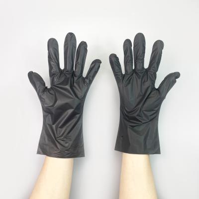 China Cleaning/Gardening/Dusting Black/Food/Clear/Blue/Pink/Purple Soft Powder Band Free Disposable Gloves for sale