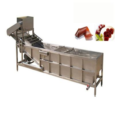 China Factory Customized Automatic Fruit Leather Production Line for sale