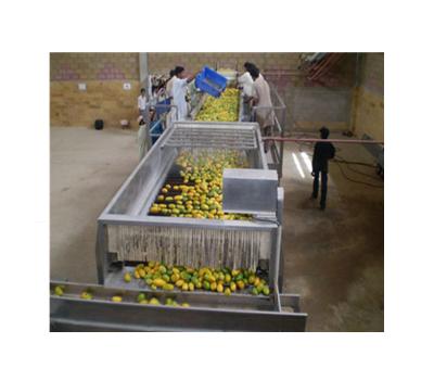 China Fruit Vegetable Mango Washing, Sorting, Production Line Crushing, Thickening And Canning for sale