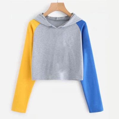 China High Quality Anti-Wrinkle Sports Short Round Neck Women's Pullover Retros Top Custom Hoodie for sale