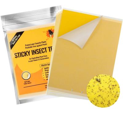 China Source Disposable Factory Price 20 Packs Hanging Fly Trap Double Sided Yellow Sticky Fly Traps for sale