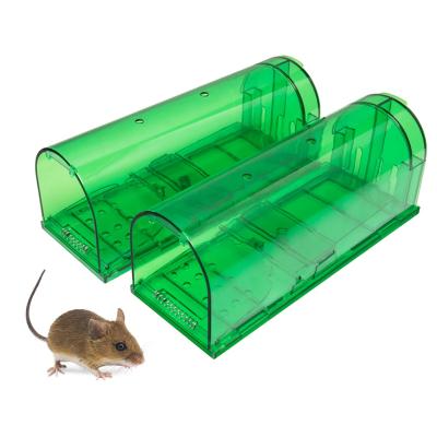 China Amazon Best Selling Humane Disposable 2 Pack Multi Mouse Trap Hook Rat Trap Cage No Killing Field Mouse Traps for sale