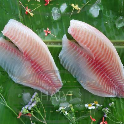 China FROZEN Tilapia Fillet 2/3Oz 80%NW for sale