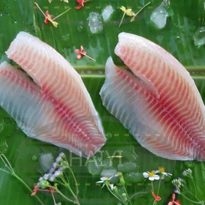 China FROZEN Tilapia Fillet 5/7Oz 80%NW for sale