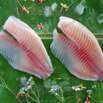 China FROZEN Tilapia Fillet 3/5Oz 85%NW for sale