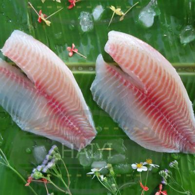 China FROZEN Tilapia Fillet 2/3Oz 90%NW for sale